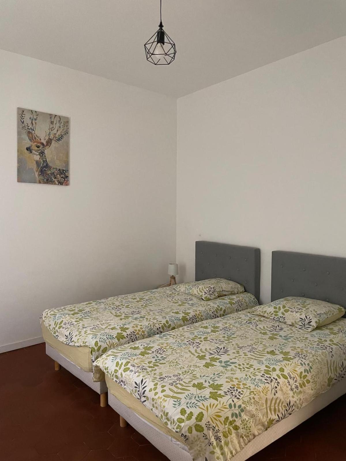 Appartement Gaudi Centre Historique Perpignan Eksteriør bilde